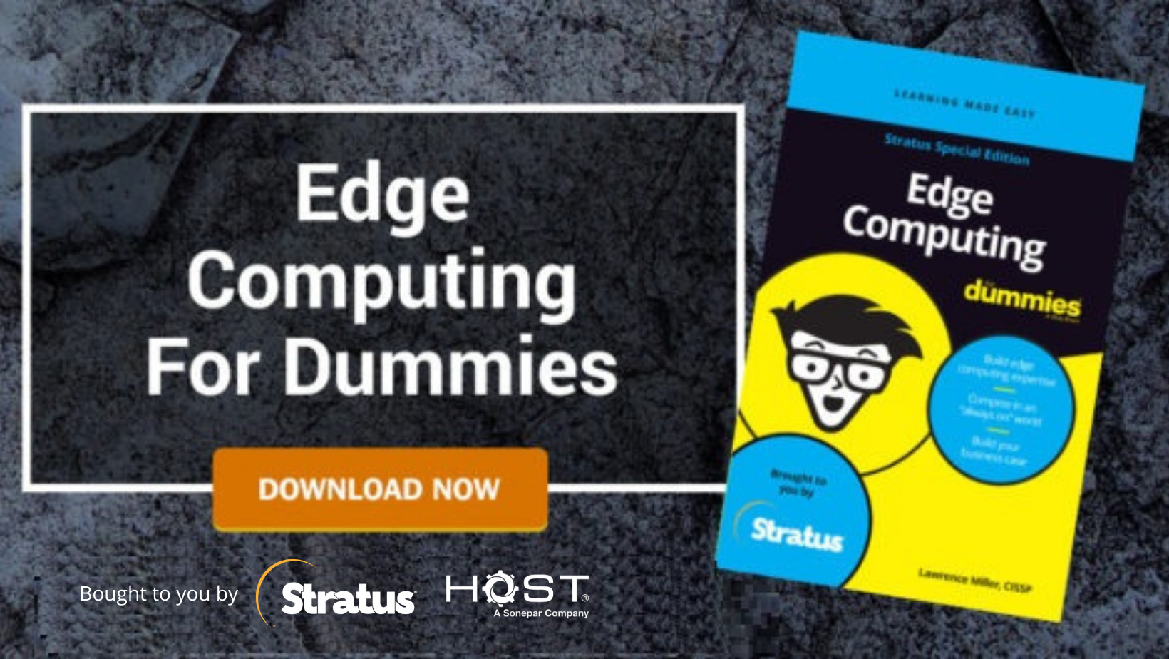 20220108 Edge Computing For Dummies Stratus Special Edition Picture